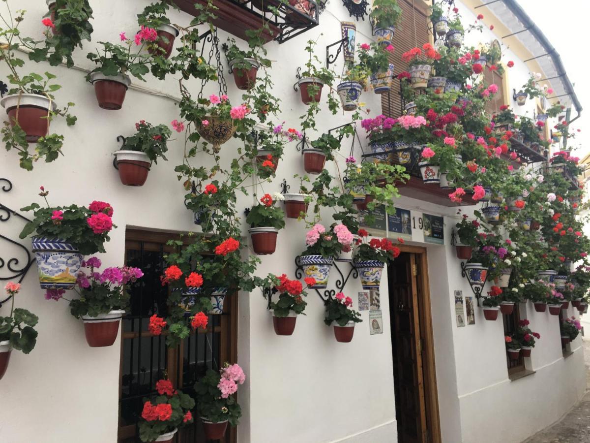 Buhardilla De Wallada Córdoba Kültér fotó
