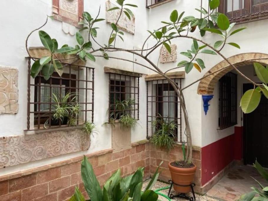 Buhardilla De Wallada Córdoba Kültér fotó